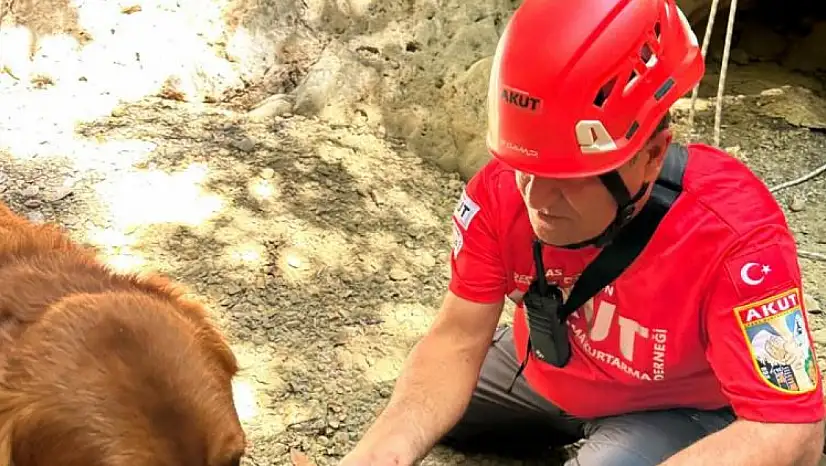 Fethiye'de dere yatağında sıkışan köpek kurtarıldı