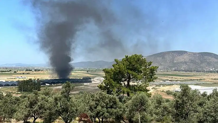 Milas'ta Balık Üretim Tesisi'nde yangın: Panik yaşandı