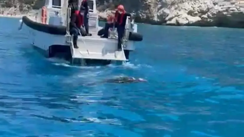 Zıpkınla balık avlamak için denize daldı: Cesedine ulaşıldı